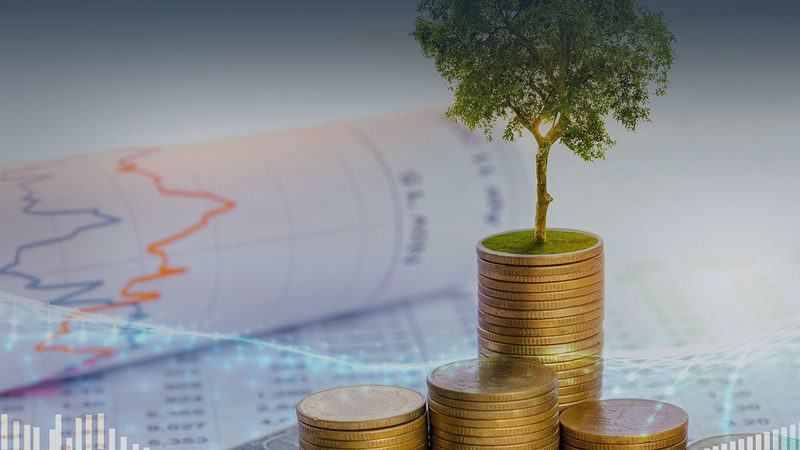 组织架构咨询：揭秘企业高效运营的内在逻辑**